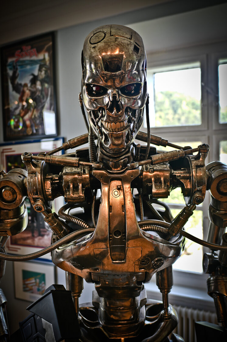 schwarzenegger_muzeum-8.jpg